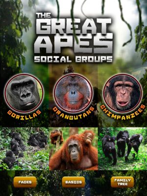 Great Apes App