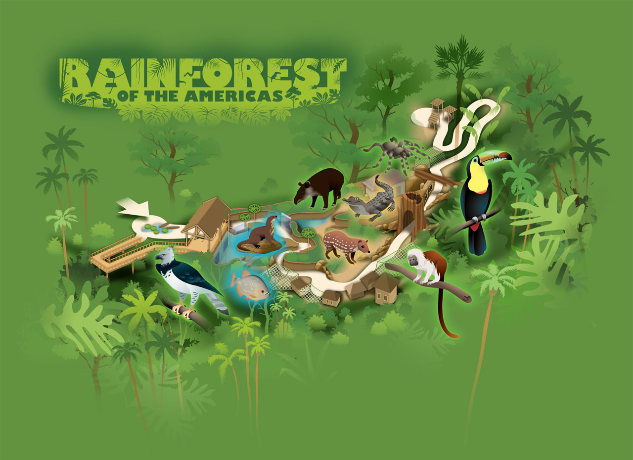 Rainforest of the Americas at the . Zoo – Harvest Moon Studio