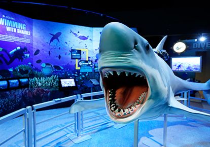 Earth Explorers Exhibition