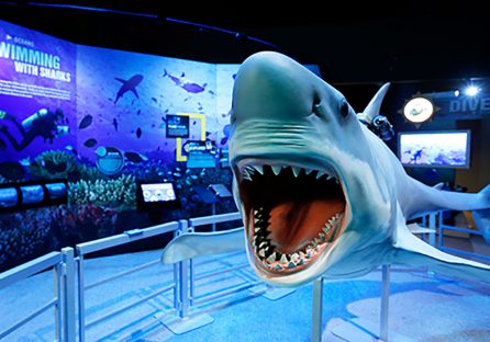 Earth Explorers Exhibition